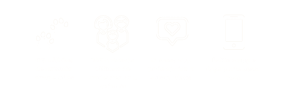 Banner de informações